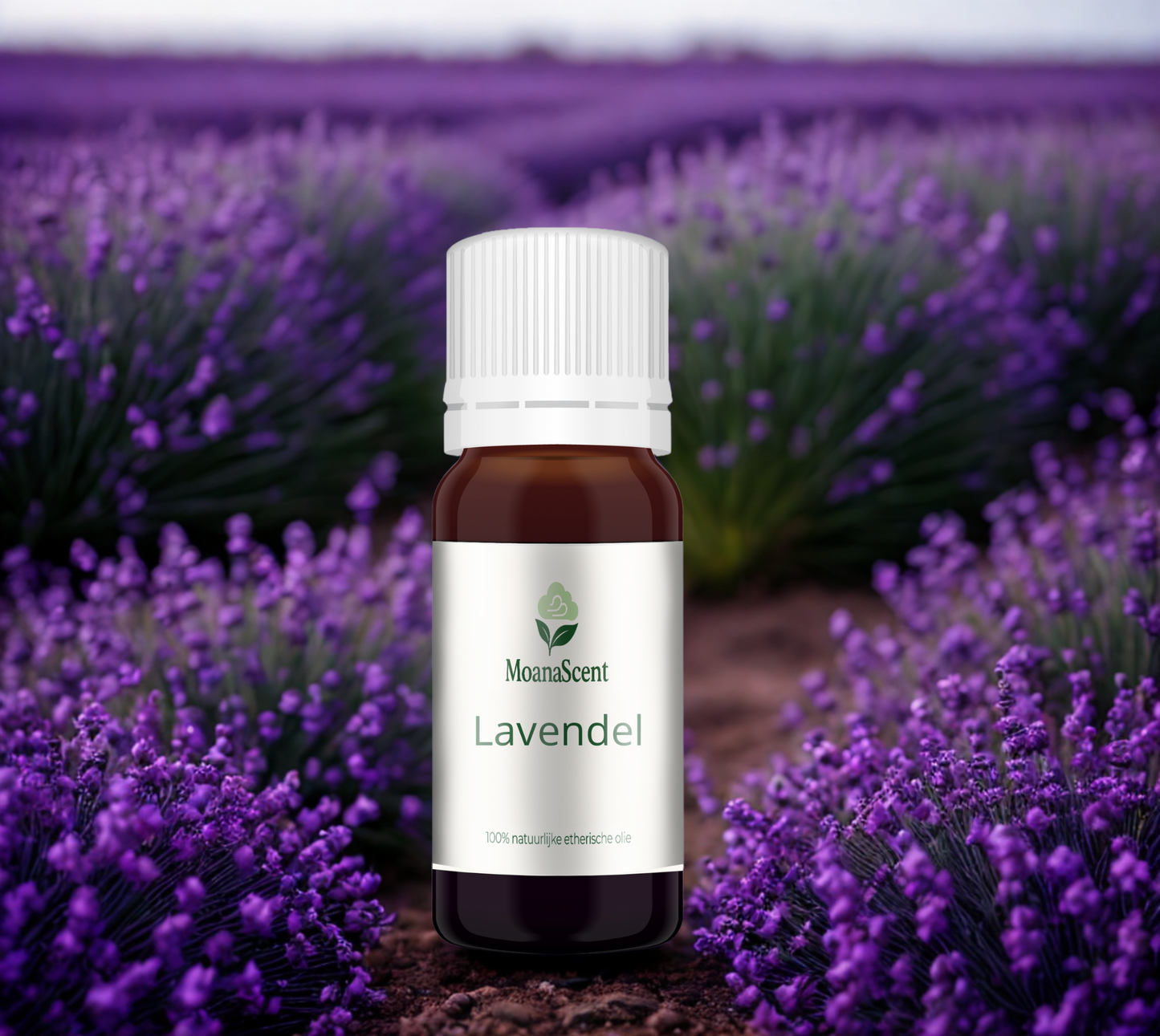 Lavendel - 100% Natuurzuivere Etherische Olie