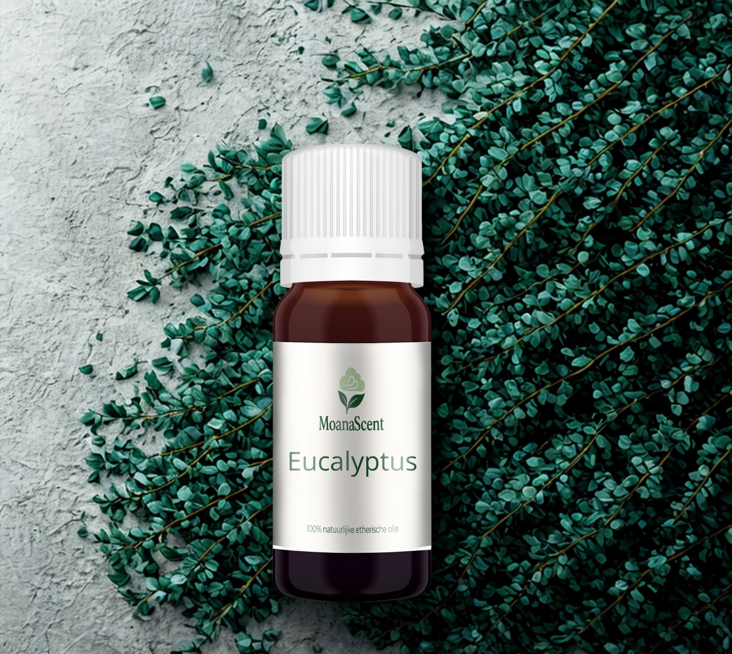 Eucalyptus - 100% Natuurzuivere Etherische Olie