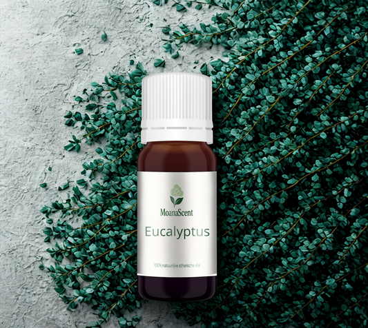 Eucalyptus - 100% Natuurzuivere Etherische Olie